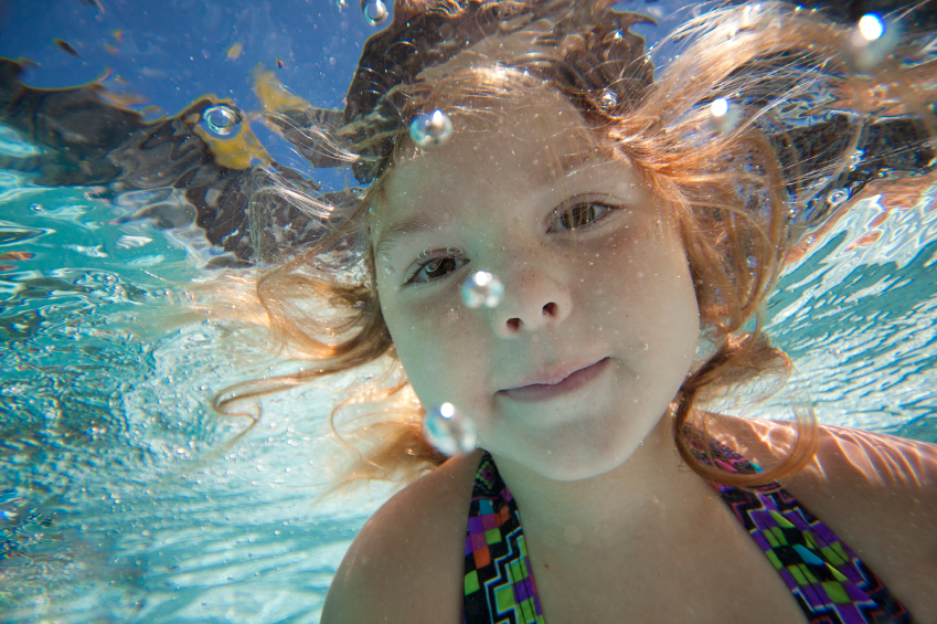 Safe Haven From Allergies Little Otter Swim School Safe Haven From Allergies Little Otter Swim School