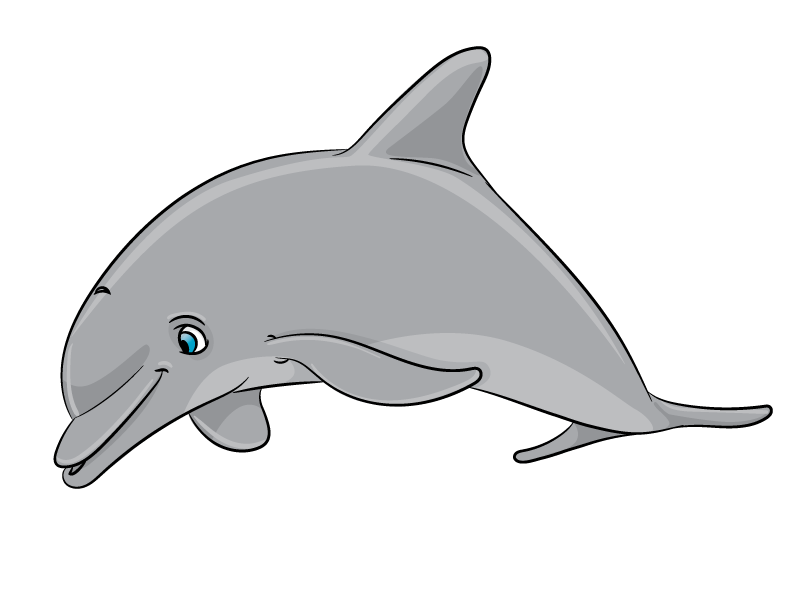 DashingDolphin-2 DashingDolphin-2