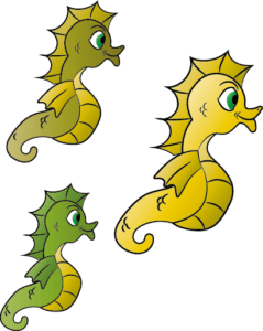 Seahorses