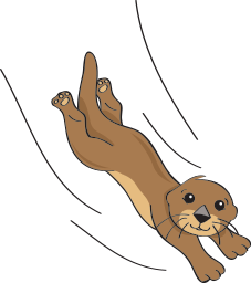 character_6 diving otter